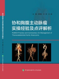 协和胸腹主动脉瘤实操经验及点评解析