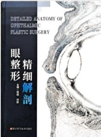 眼整形精细解剖