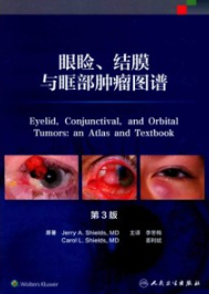 眼睑、结膜与眶部肿瘤图谱 第3版
