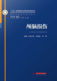 神经外科亚专科学丛书 颅脑损伤