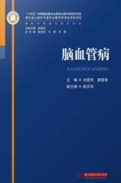 神经外科亚专科学丛书 脑血管病