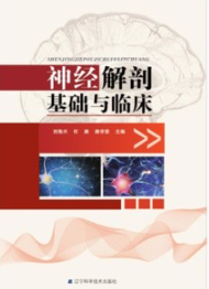 神经解剖基础与临床