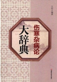 伤寒杂病论大辞典