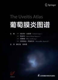 葡萄膜炎图谱