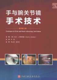 手与腕关节镜手术技术 原书第2版