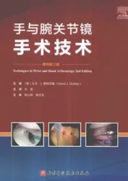 手与腕关节镜手术技术 原书第2版