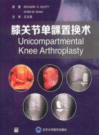 膝关节单髁置换术