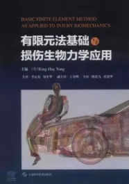 有限元法基础与损伤生物力学应用