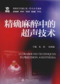 精确麻醉中的超声技术