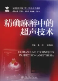 精确麻醉中的超声技术