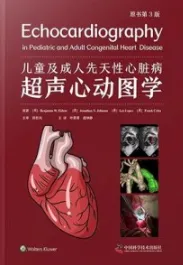 儿童及成人先天性心脏病超声心动图学 原书第3版