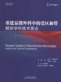 重建显微外科中的受区血管 解剖学和技术要点
