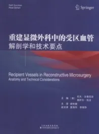 重建显微外科中的受区血管 解剖学和技术要点