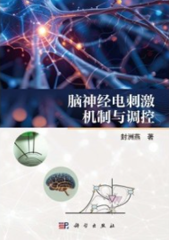脑神经电刺激机制与调控