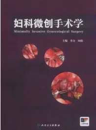 妇科微创手术学