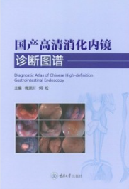 国产高清消化内镜诊断图谱