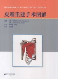 皮瓣重建手术图解
