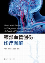 颈部血管创伤诊疗图解