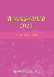 乳腺癌病例集锦 2023