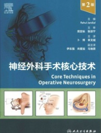 神经外科手术核心技术 第2版