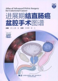 进展期结直肠癌盆腔手术图谱