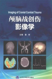 颅脑战创伤影像学