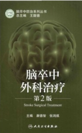 脑卒中外科治疗 第2版