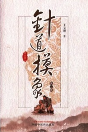 针道摸象（第二版）