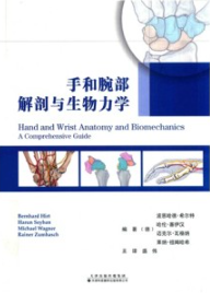 手和腕部解剖与生物力学
