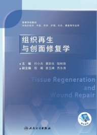 组织再生与创面修复学