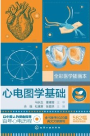 心电图学基础（全彩医学插画本）