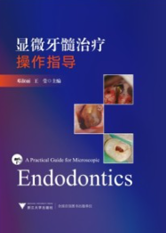 显微牙髓治疗操作指导