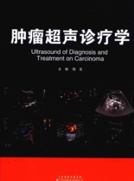 肿瘤超声诊疗学