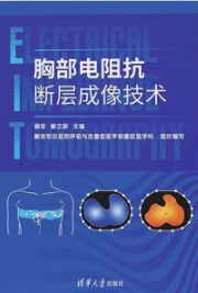 胸部电阻抗断层成像技术
