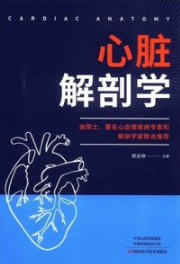心脏解剖学