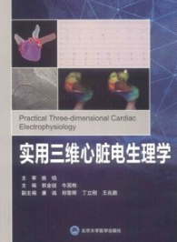 实用三维心脏电生理学