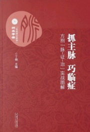 抓主脉 巧临症 方剂“脉-证-治”实战图解