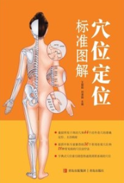 穴位定位标准图解