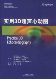 实用3D超声心动图