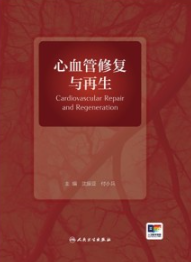 心血管修复与再生