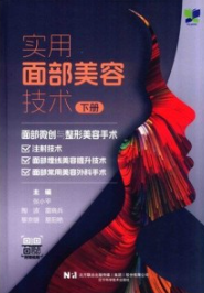 实用面部美容技术 下册 面部微创与整形美容手术