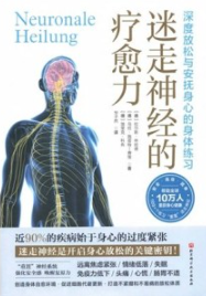 迷走神经的疗愈力