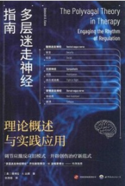 多层迷走神经指南 理论概述与实践应用