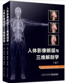 人体影像断层与三维解剖学（上下）