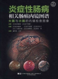 炎症性肠病相关肠癌内镜图谱 大肠与小肠的内镜检查图像