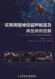 实用周围神经超声检查及典型病例图解