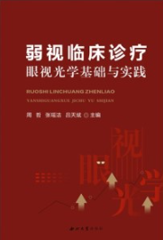弱视临床诊疗眼视光学基础与实践