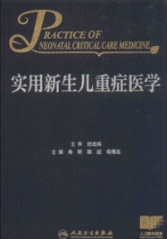 实用新生儿重症医学