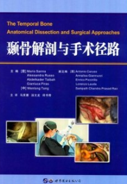 颞骨解剖与手术径路