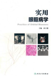 实用眼眶病学